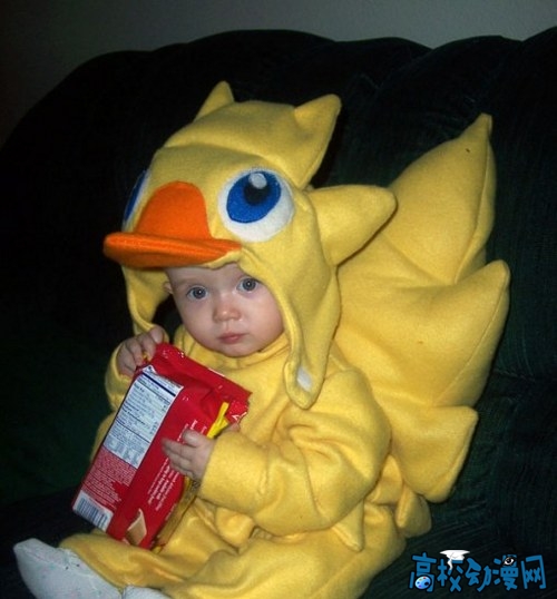 chocobo.jpg