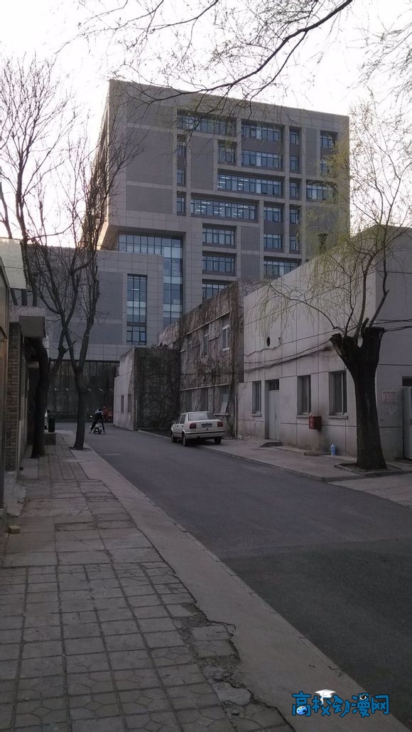 xk_3286499213727855345158df8c14af511.jpg