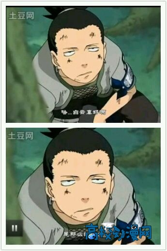 yz_011.gif