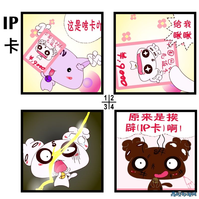 IP卡.jpg