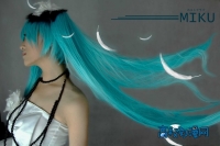 ��COS�������̽�������Ŀ־COSPLAY���š���������