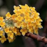 �й�������У��У�����ϲ�У����Ȼ������廪����