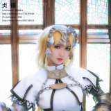 cos��Ƭ������Fate/Grand Order��ʥŮ���