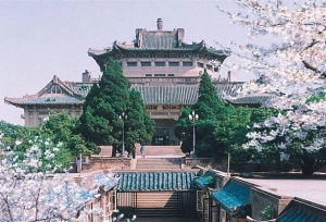 2019�人��ѧҩѧ�����������������Կ�Ŀ���ο���Ŀ�����о��飡