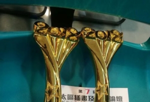 ����������ԭ����������Ĺ��£��������ɽ�¼�����߶���ר��