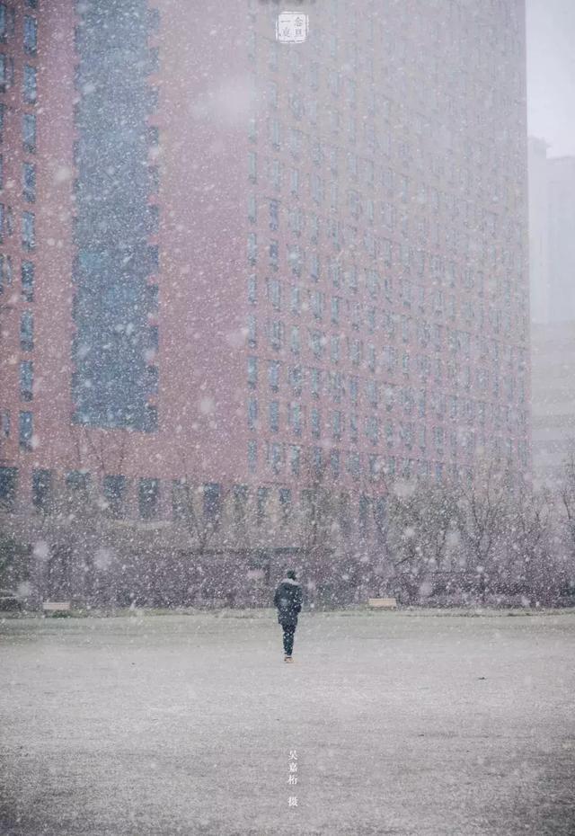 沪上19所高校晒雪景！其中有你的母校吗？
