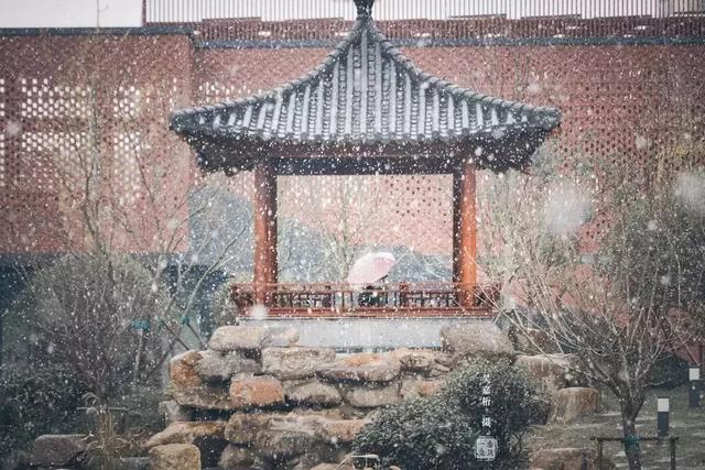 沪上19所高校晒雪景！其中有你的母校吗？