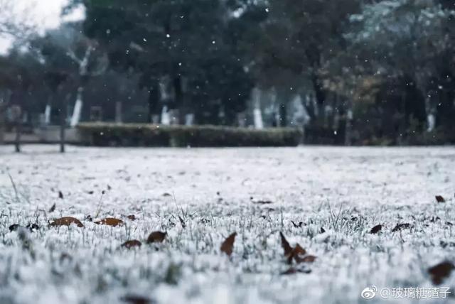 沪上19所高校晒雪景！其中有你的母校吗？