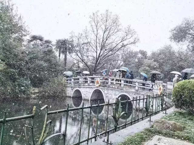 沪上19所高校晒雪景！其中有你的母校吗？
