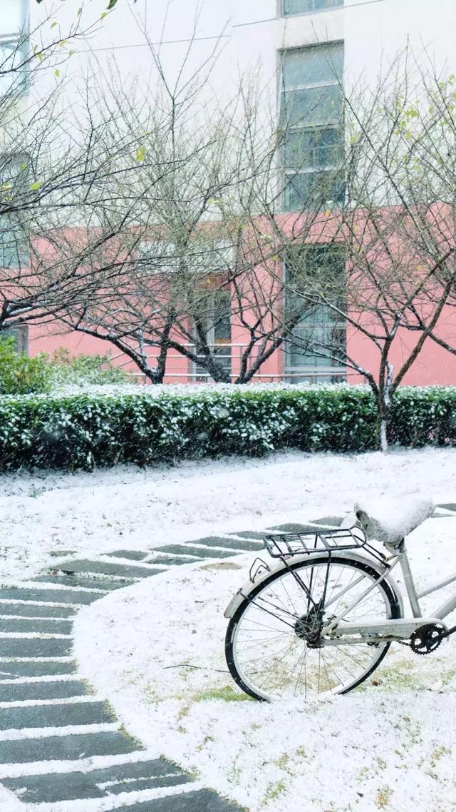 沪上19所高校晒雪景！其中有你的母校吗？