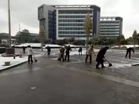 沪上19所高校晒雪景！其中有你的母校吗？
