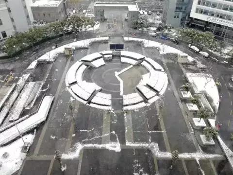 沪上19所高校晒雪景！其中有你的母校吗？