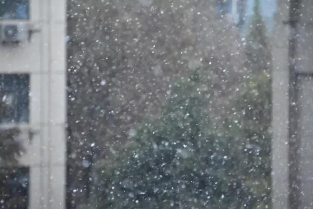 沪上19所高校晒雪景！其中有你的母校吗？