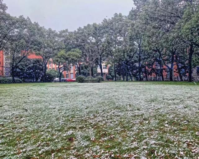 沪上19所高校晒雪景！其中有你的母校吗？