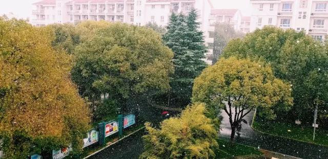 沪上19所高校晒雪景！其中有你的母校吗？