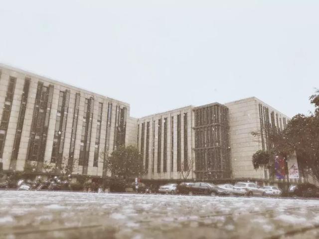 沪上19所高校晒雪景！其中有你的母校吗？
