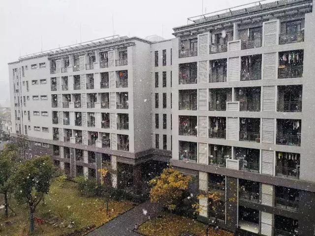 沪上19所高校晒雪景！其中有你的母校吗？