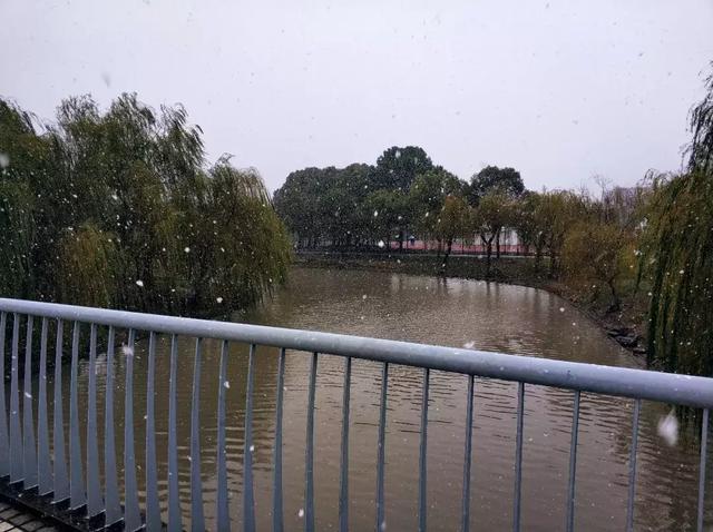 沪上19所高校晒雪景！其中有你的母校吗？