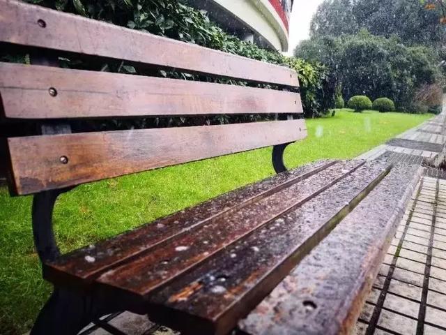 沪上19所高校晒雪景！其中有你的母校吗？