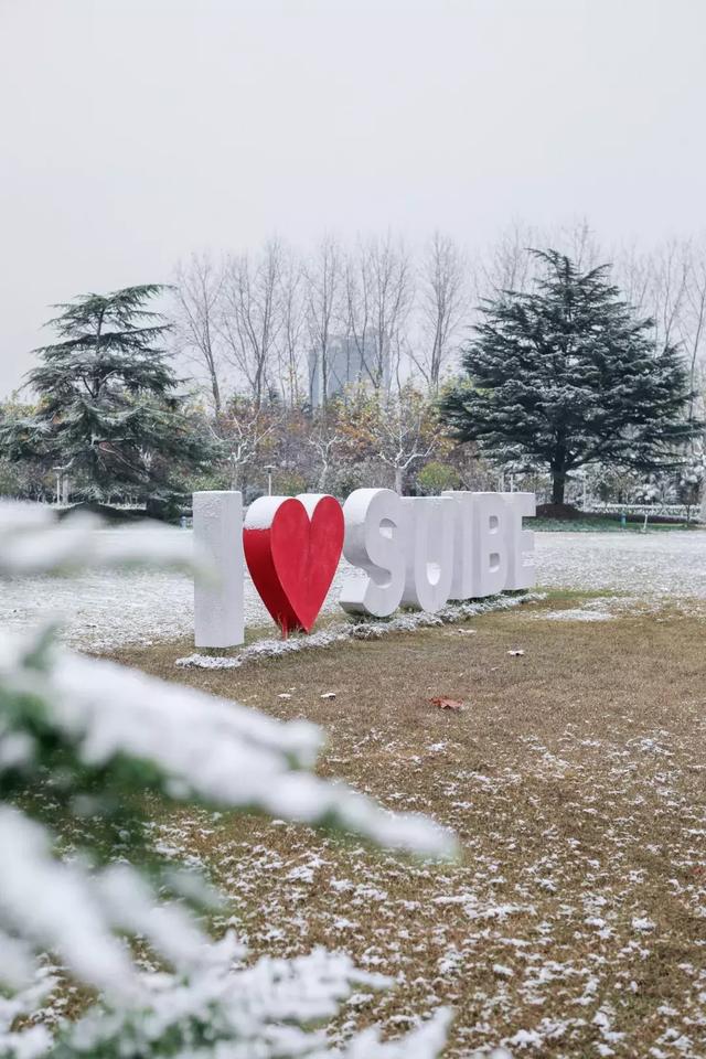 沪上19所高校晒雪景！其中有你的母校吗？