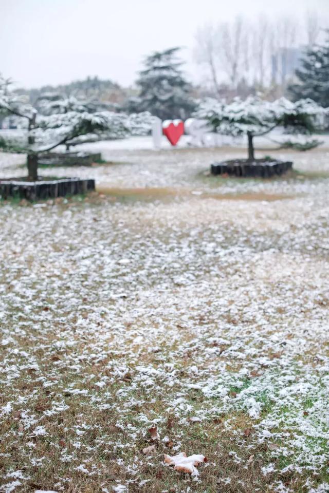 沪上19所高校晒雪景！其中有你的母校吗？