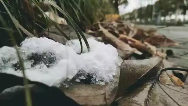 沪上19所高校晒雪景！其中有你的母校吗？