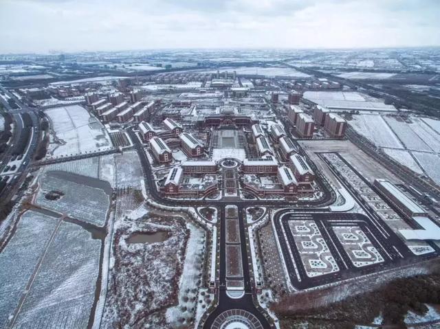 沪上19所高校晒雪景！其中有你的母校吗？