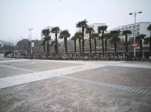 沪上19所高校晒雪景！其中有你的母校吗？