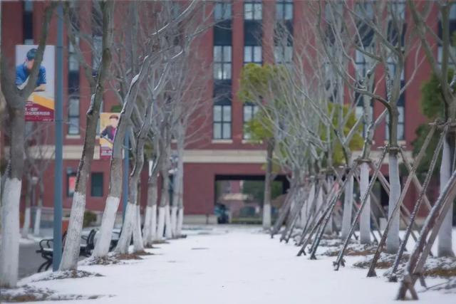 沪上19所高校晒雪景！其中有你的母校吗？