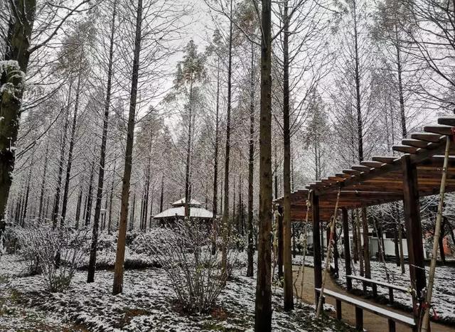 沪上19所高校晒雪景！其中有你的母校吗？