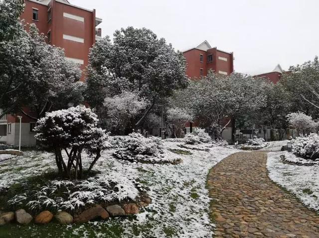 沪上19所高校晒雪景！其中有你的母校吗？