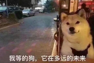 ���һ���������������ڿ��У���/������ʲô�仯��