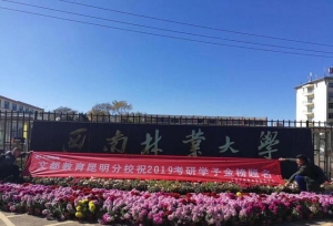 �о������Կ�ʲô������׼�������������ѧ���и��Եĳɹ��ʣ�