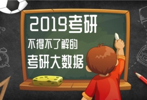 2019���в��ò��˽�Ŀ��д�����