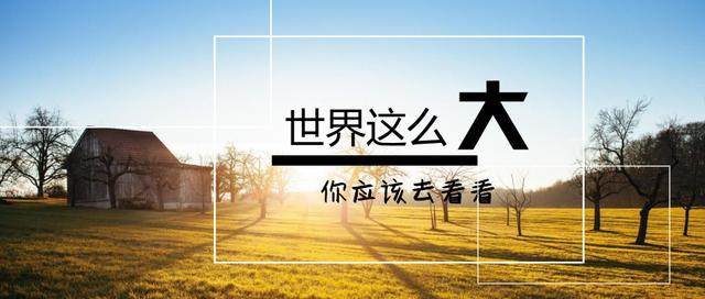 ���н����ˣ�����������Ӧ����ʲô��