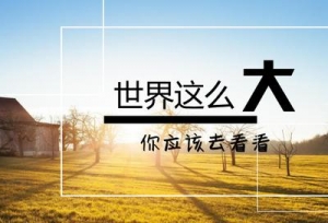 ���н����ˣ�����������Ӧ����ʲô��