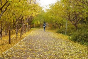 ��ѧʿѧλ���ܱ�����Щ��ְ�о���רҵ��