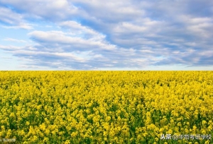 ���䳤�Ѿ������Ӣ��