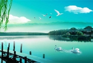 ������ְ�о�������Ҫ�μӵĿ�������Щ��