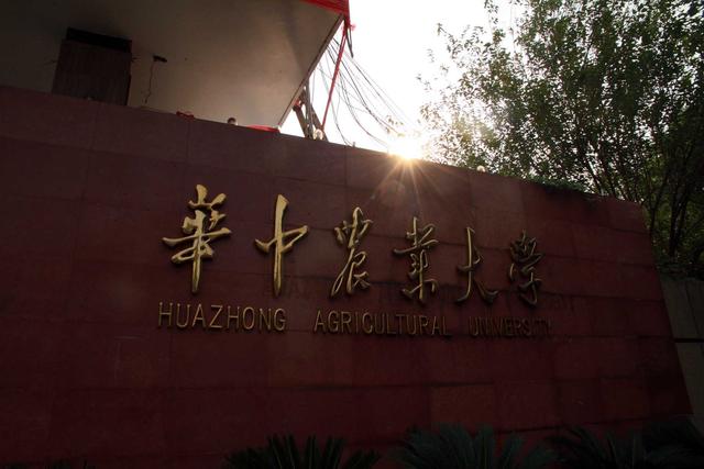 湖北2所985高校7所211大学，全部集中在武汉市，有你的母校吗？