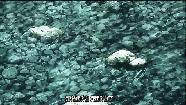 动漫：一所学校学生只有5个人？日本乡下原来这么好玩！