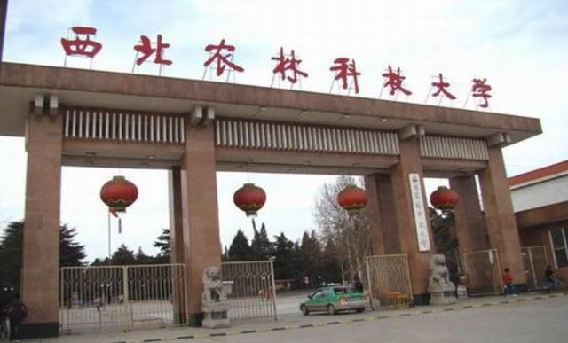 躲在“犄角旮旯”的3所985大学，录取分低！除了荒僻，啥都好！