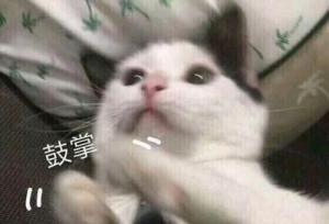 ʷ����ţ������У���Ӵ�һ��ʼ׼�����У�