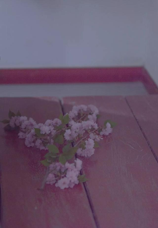 �й�����ӣ����У�����
