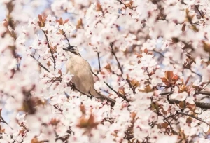 ���ڰѸ����УУ�������ˣ�������Ҫ��һ�꣡