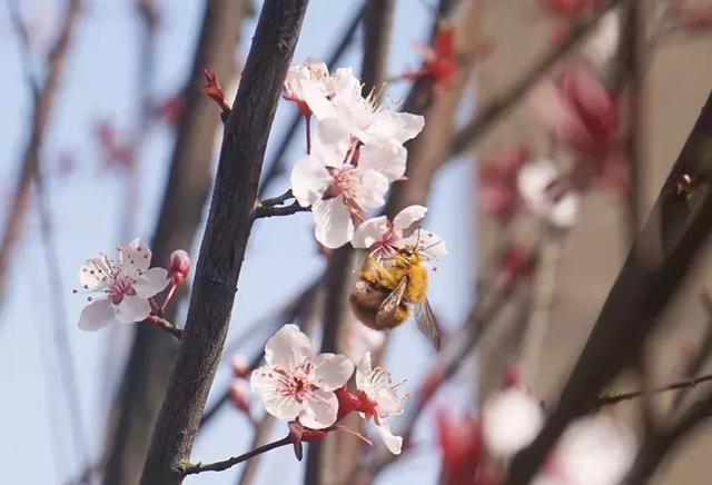 ���ڰѸ����УУ�������ˣ�������Ҫ��һ�꣡