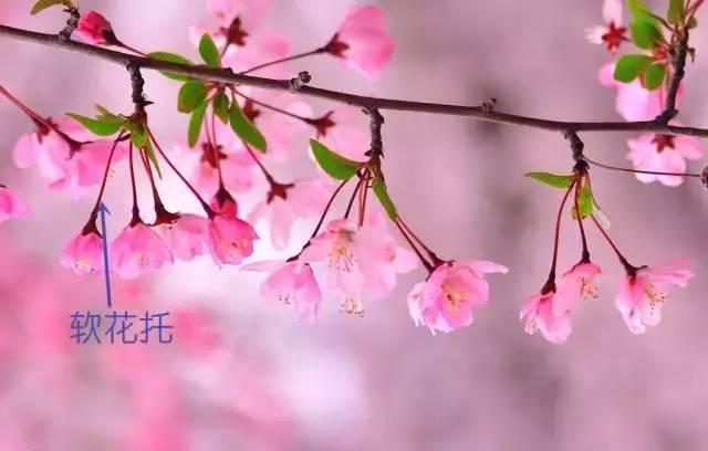 ���ڰѸ����УУ�������ˣ�������Ҫ��һ�꣡