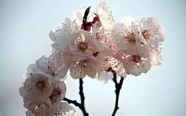 ���ڰѸ����УУ�������ˣ�������Ҫ��һ�꣡