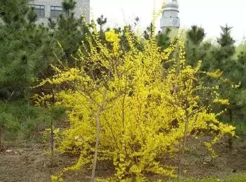���ڰѸ����УУ�������ˣ�������Ҫ��һ�꣡