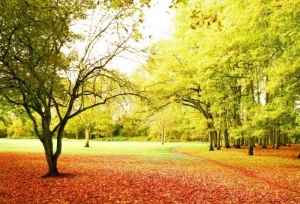 ˵˵�����ֳ�ȷ����Щ�£������Ҫ֪����